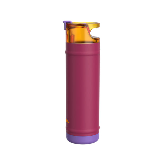 bubba 24 oz DualSip Insulated Stainless Steel Water Bottle - Locker Love - US 5918